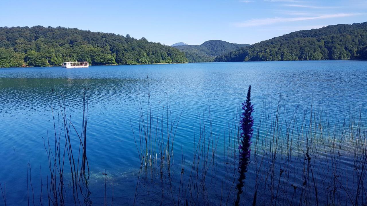 B&B Plitvice Lakes Villa Prica Plitvica selo Exterior photo